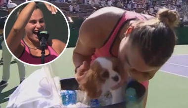 Aryna Sabalenka beats Elena Rybakina; Georgios Franguli engagement ring; Jannik Sinner beats Daniil Medvedev
