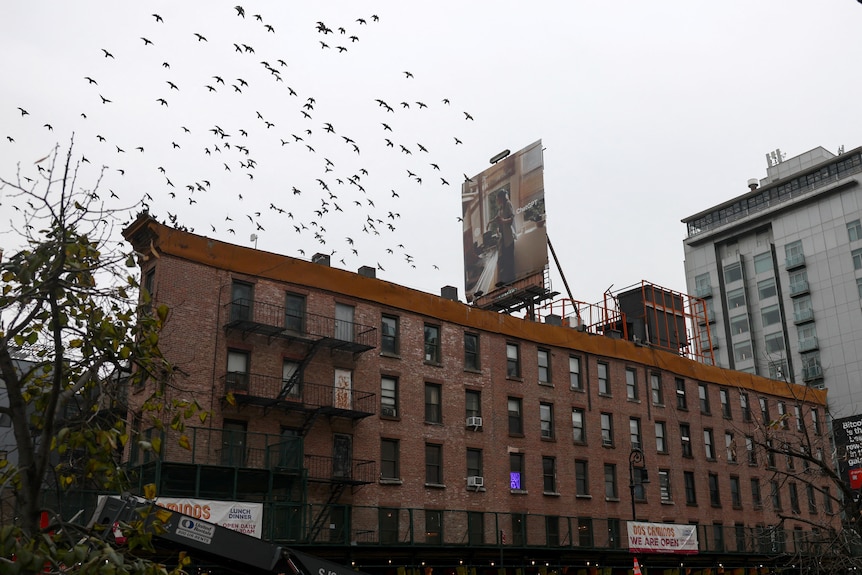 A photo of the brownstone Herring Building on 675 Hudson Street.