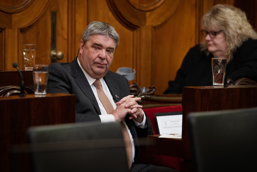 Kerry Vincent, Tasmanian Legislative Council _ Upper House 2025-09-23 10:09:00