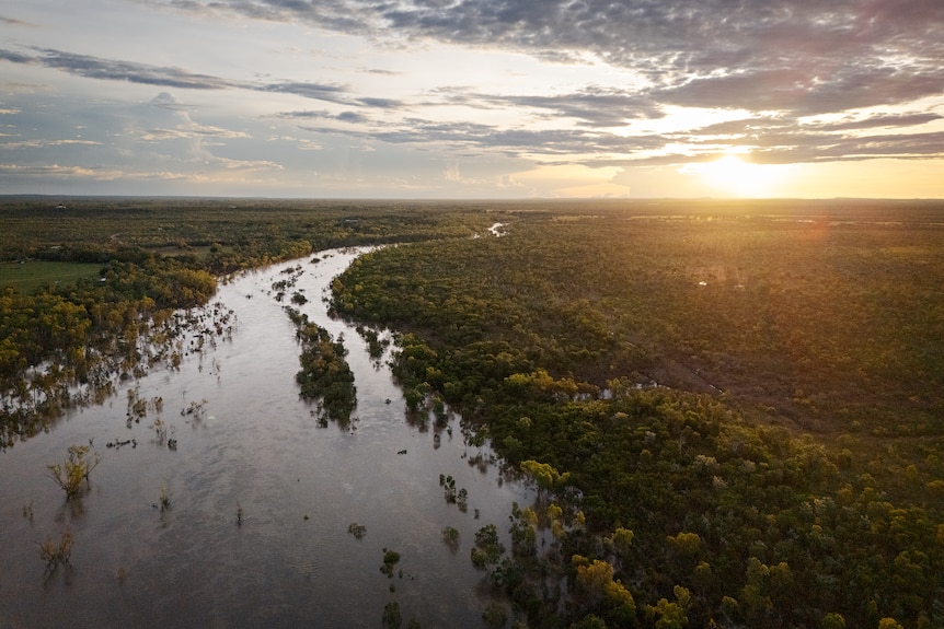 A flooded river surounded by trees