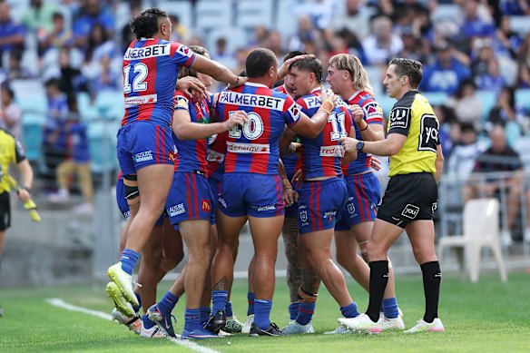 The Knights celebrate a try against the Bulldogs.