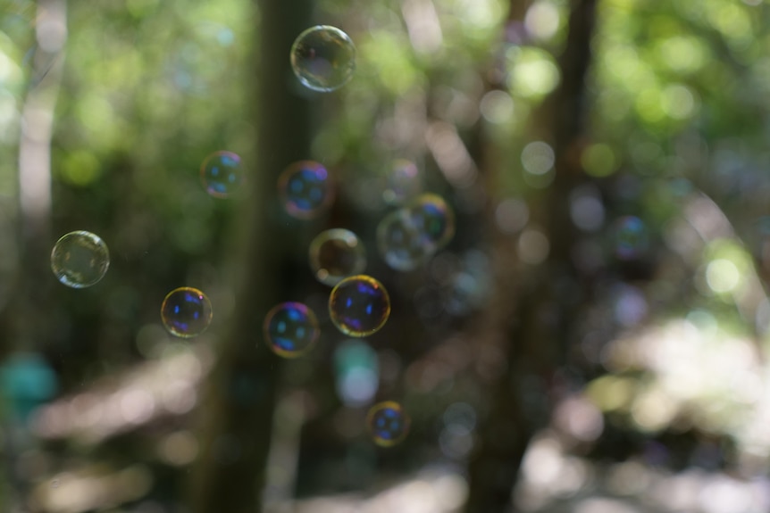 Bubbles floating in the air