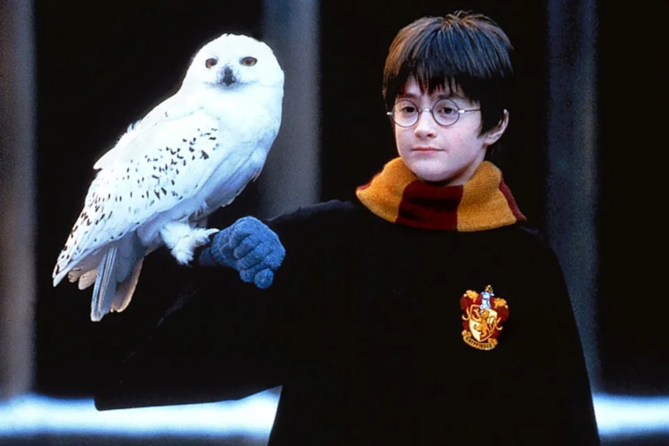 Daniel Radcliffe in 'Harry Potter and the Sorcerer's Stone'Credit: Peter Mountain/Warner Bros.