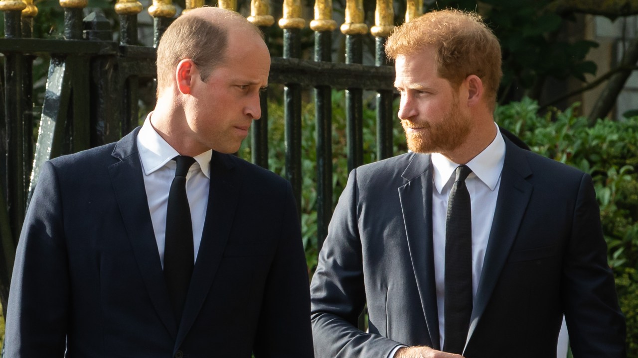 'Couldn't be worse': Why Prince William and Prince Harry's relationship will never recover, according to royal expert