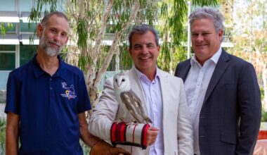 Stirling cranks Owl City after officially ruling out rodent poising to protect native wildlife