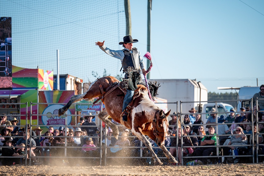 a bronc bucking a rider
