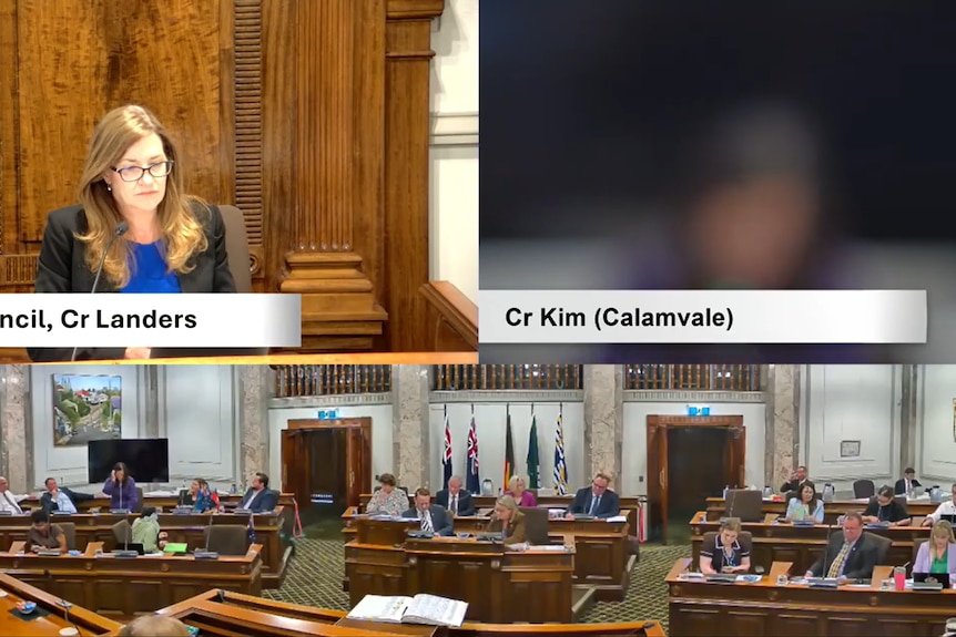 A screenshot from a video recording of a Brisbane City Council meeting.