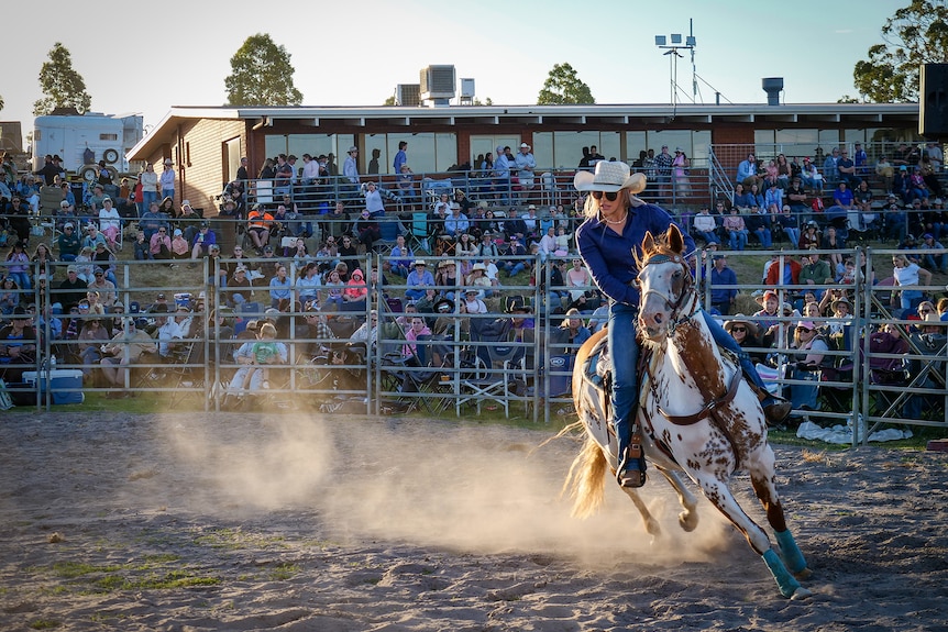 A paint horse in an arena