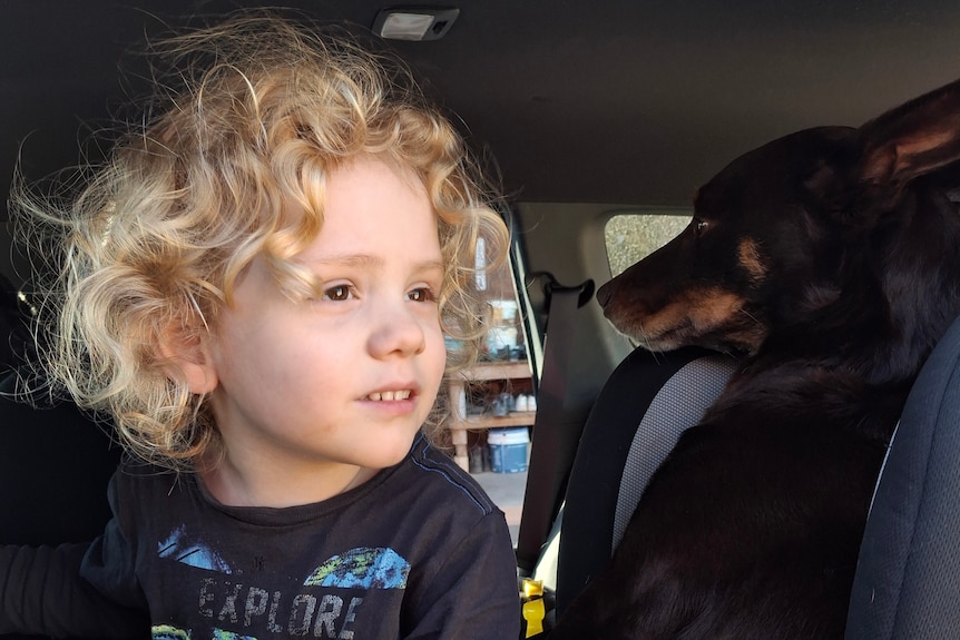 A young boy with curly blonde hair, looking off to the side.