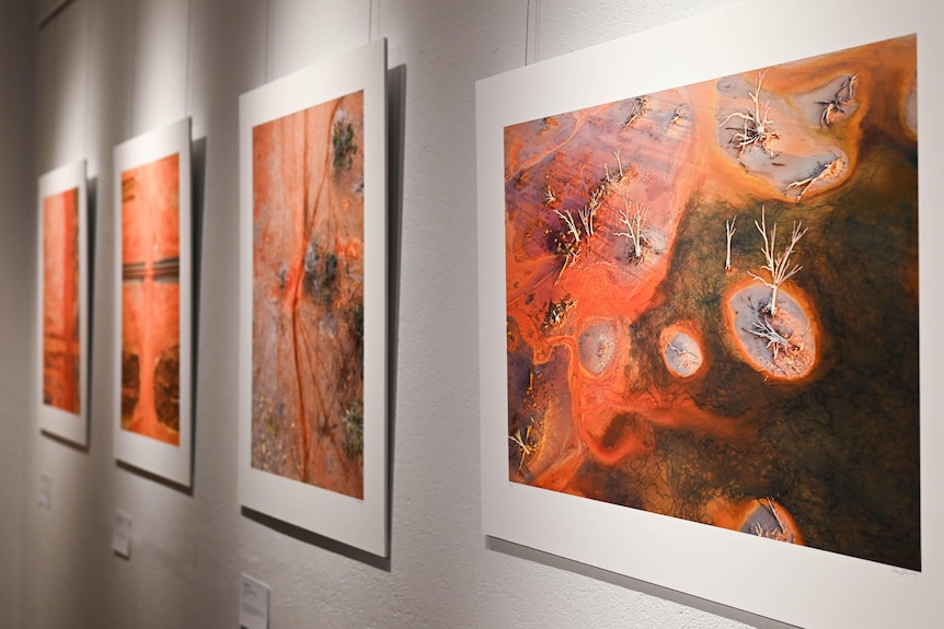 Photographs on a wall in a gallery.