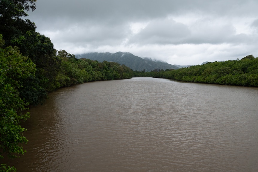 A river with green hills surrounding