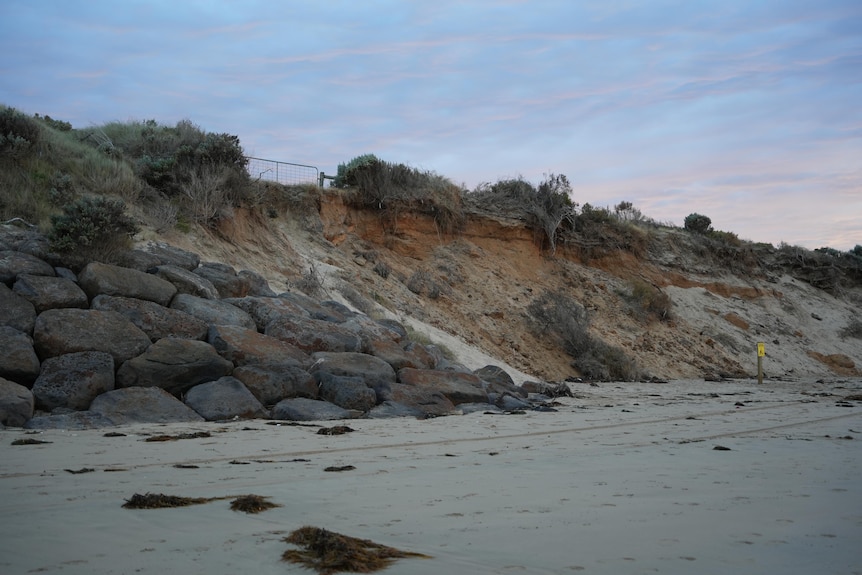 Erosion is seen in the dunes of Ocean Grove's main beach.