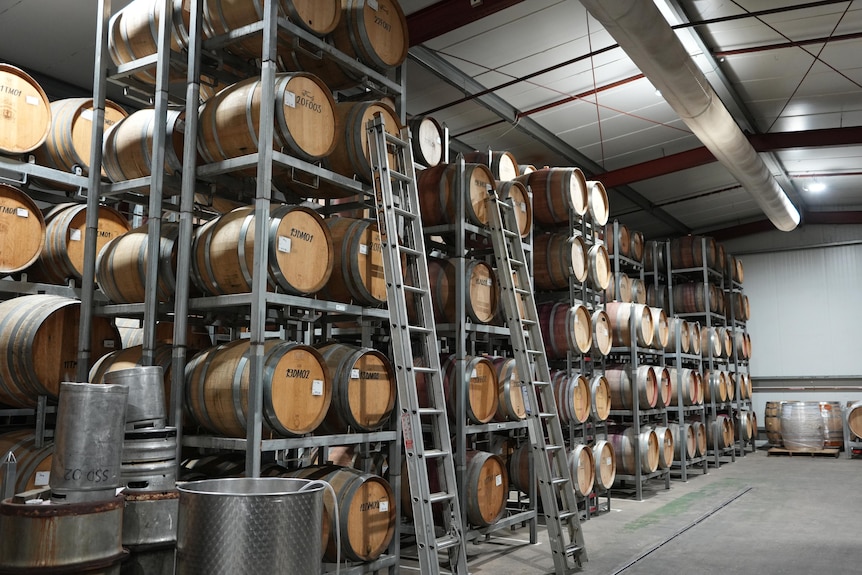 A cellar full of wine casks