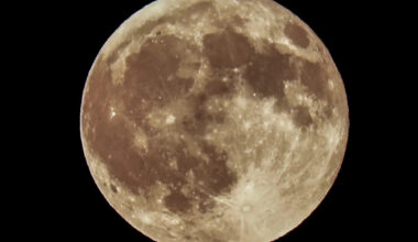 Yahoo lifestyle home