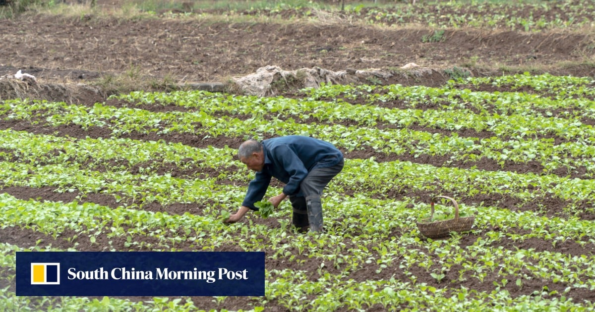 China’s rural pensions in focus as lawmakers fight for farmers’ fair share amid income gap
