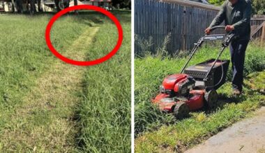 ‘Bad’: Aussie’s council lawn act ridiculed