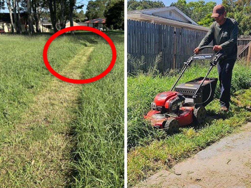 ‘Bad’: Aussie’s council lawn act ridiculed