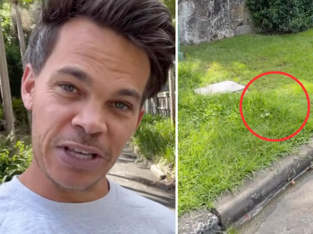 Bachelor star Jimmy Nicholson slams neighbours for ‘unAustralian’ lawn act