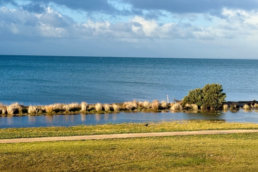 Coastal inundation near Ms Perrett's house in Indented Head on the Bellarine Peninsula.