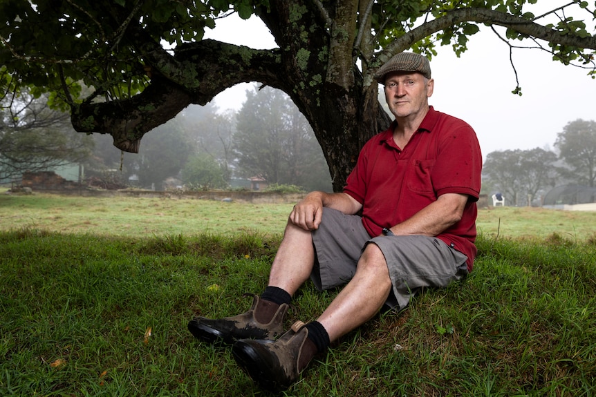 Man in red shirt, wearing cap and grey pants, sitting underneath large tree