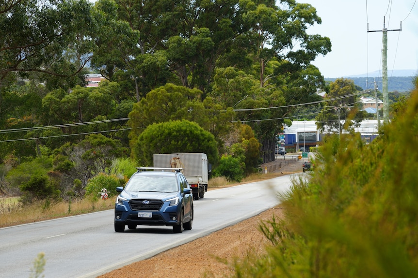 A road with two cars driving in either direction and bush in right foreground.