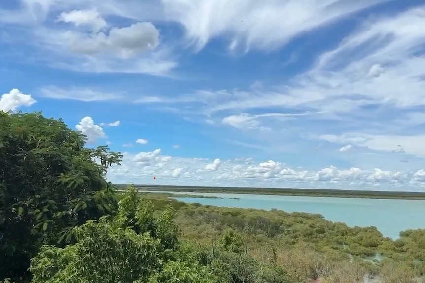 Mangroves and bush fringing a bay