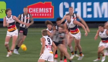 Collingwood champion Scott Pendlebury’s charge downgraded at AFL tribunal after marathon deliberation