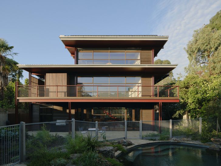 The backyard has been revitalised with a natural pool and garden designed by Sam Cox Landscape.