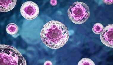 Simulation Recreates a Minimal Cell Life Cycle