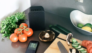 Bluesound PULSE FLEX debuts redesigned wireless speaker