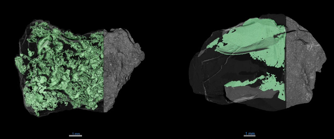 Asteroid Bennu's Rugged Surface Baffled NASA, We Finally Know Why