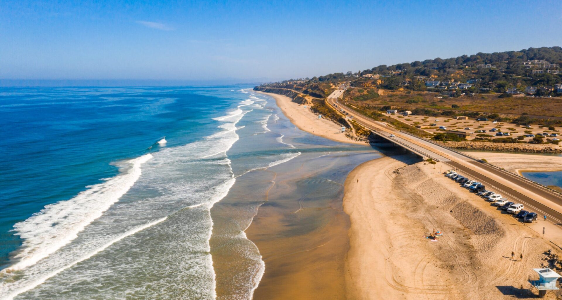 How ancient shorelines played a crucial role in the survival of early sea creatures