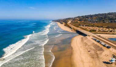 How ancient shorelines played a crucial role in the survival of early sea creatures