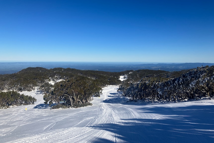 Image of a wide open sky, looking downhill at a snow covered mountain with native scrub and vegetation. 