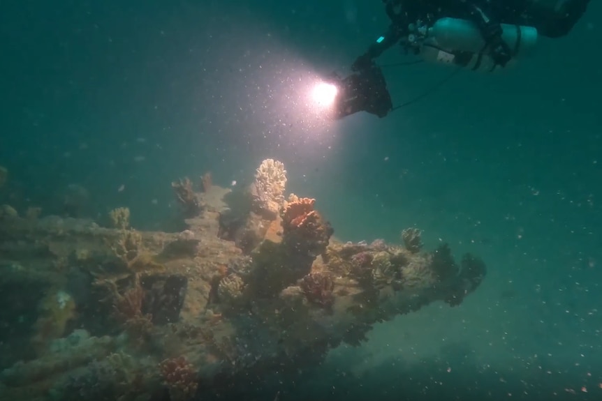a diver wearing scuba gear shines a light on a shipwreck an the sea floor.