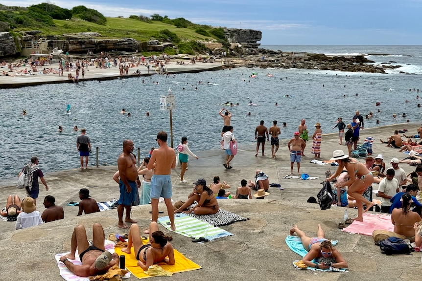 Group of people lying on towels