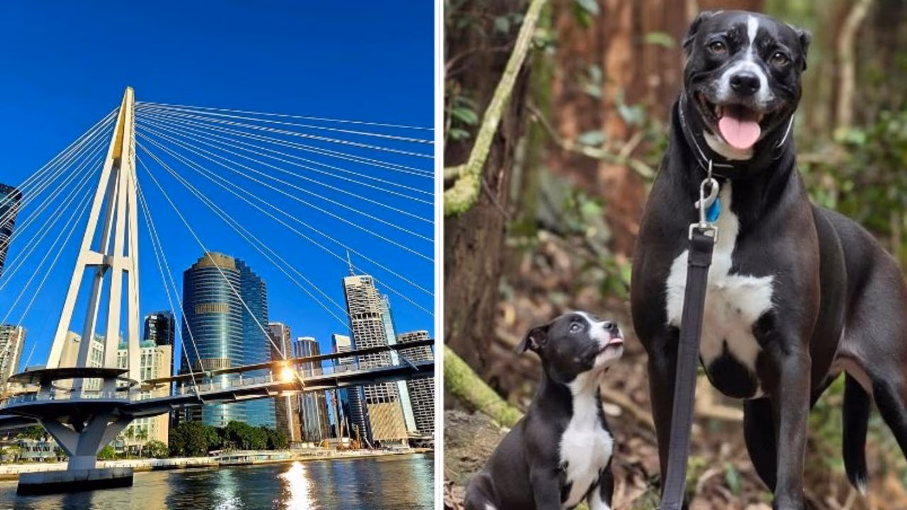 Samsung Galaxy S26 Ultra review: camera, AI features and iPhone battle