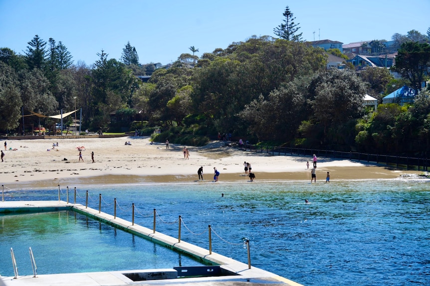 Yellow Labrador puppies lie around