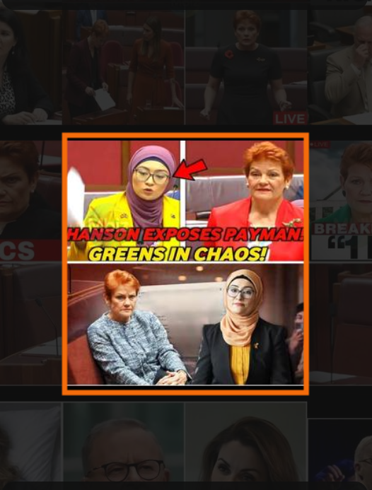 Pauline Hanson split screen with Fatima Payman