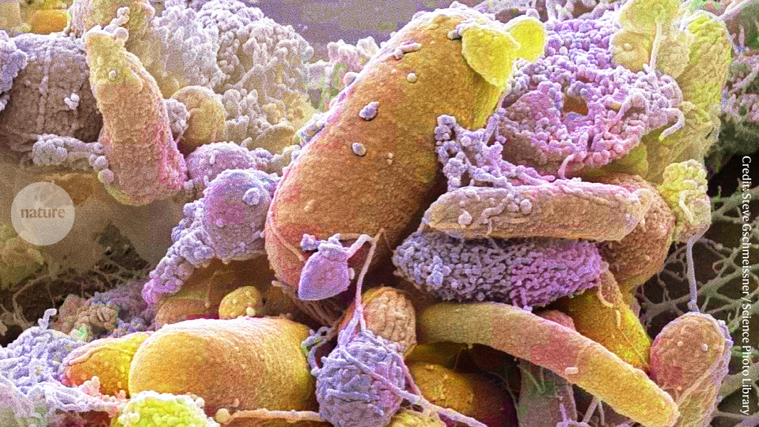 five highlights from nutrition research