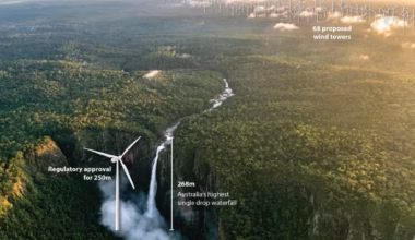 Subscribe to The Australian | Newspaper home delivery, website, iPad, iPhone & Android apps