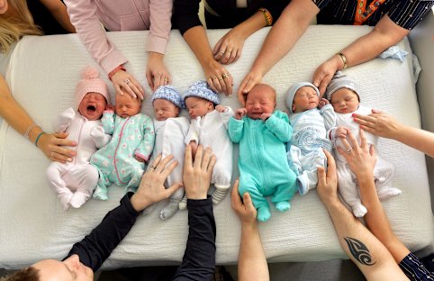 Australian-made babies: just what Matt Canavan ordered.