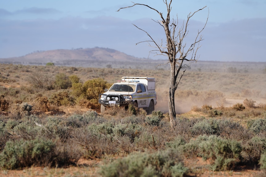 Outback South Australia during the search for Gus.