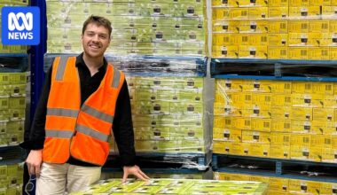 Chaos for Australian food exports as Middle East conflict disrupts transportation