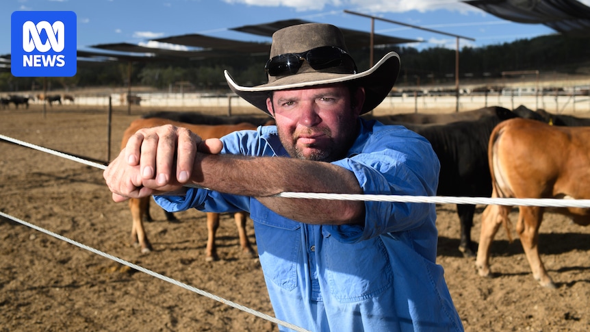 Fuel shortages hit rural Queensland businesses