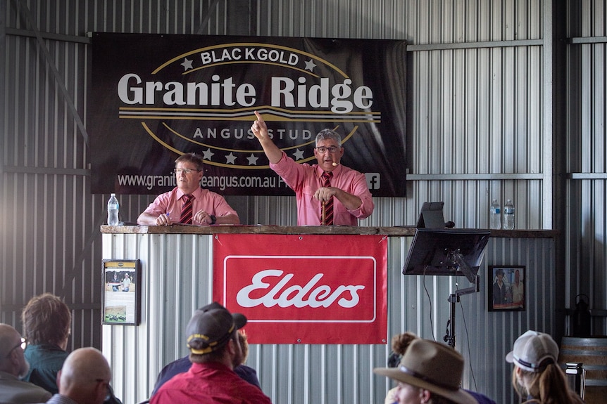 A man holds his hand up, facing a crowd of buyers at an auction. 