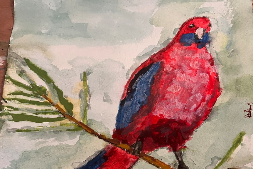 A watercolour painting of a crimson rosella.