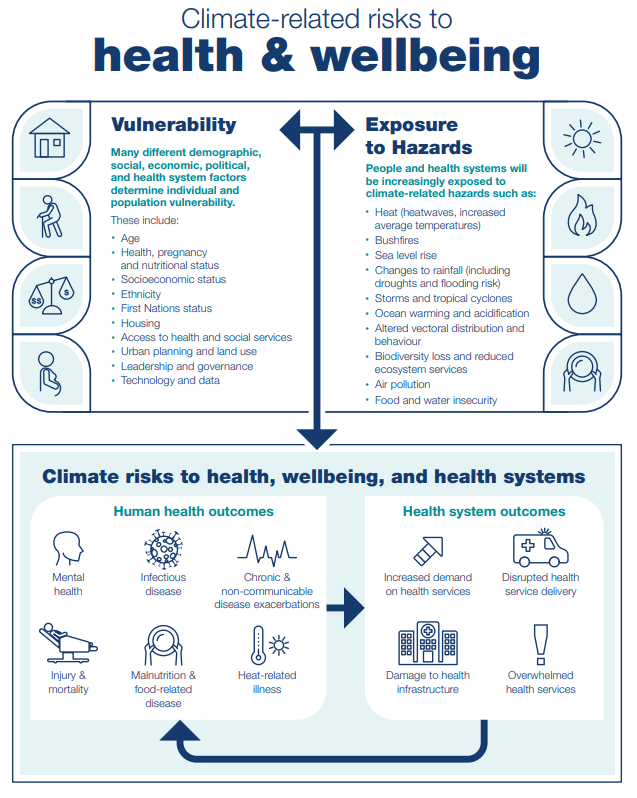 A graphic detailing the health risks associated with climate change.