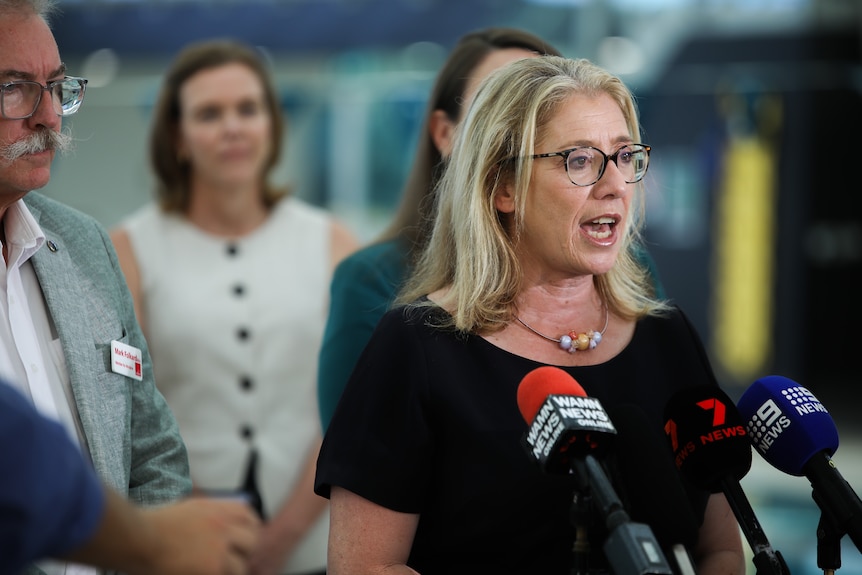 A woman with blonde medium length hair is speaking to the press 