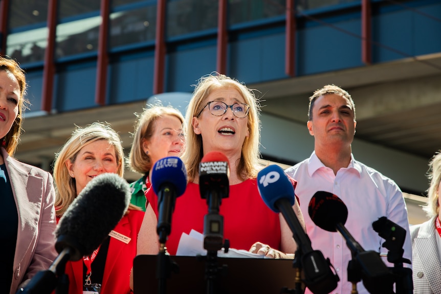 Rita Saffioti speaks at a press conference surrounded by other politicians.
